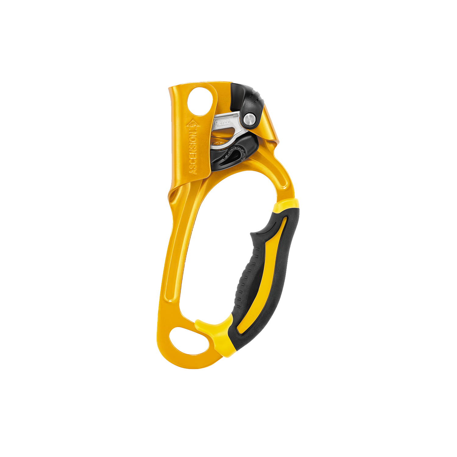 Petzl ASCENSION Ascender — Adventure Experiences: A Full Service